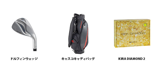 特別協賛イメージ